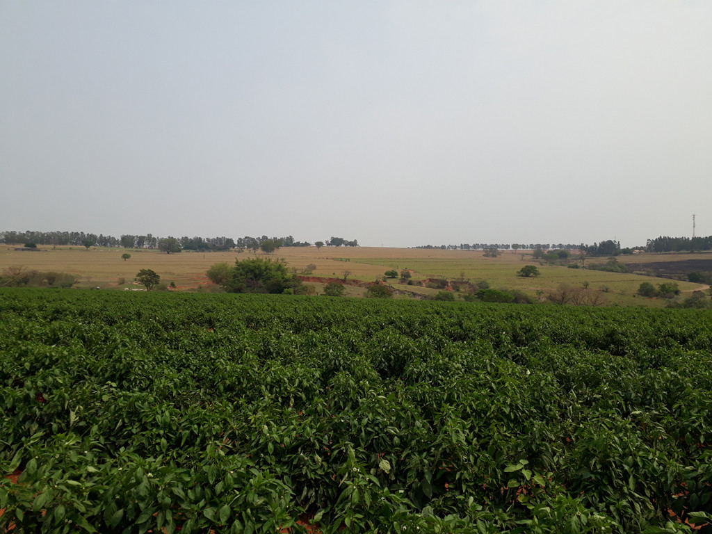 Visão oeste – west view