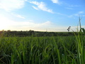 #5: Visão sul - south view