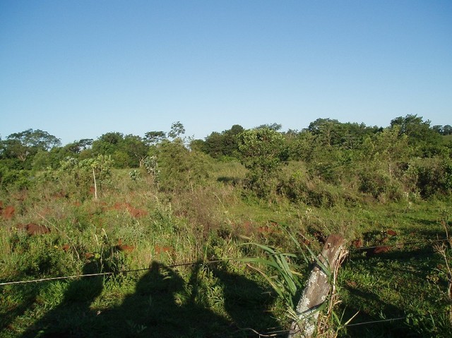 Visão Geral da Área