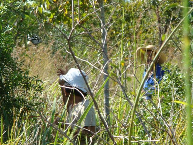 walking to CP in the tall grass