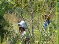 #8: walking to CP in the tall grass