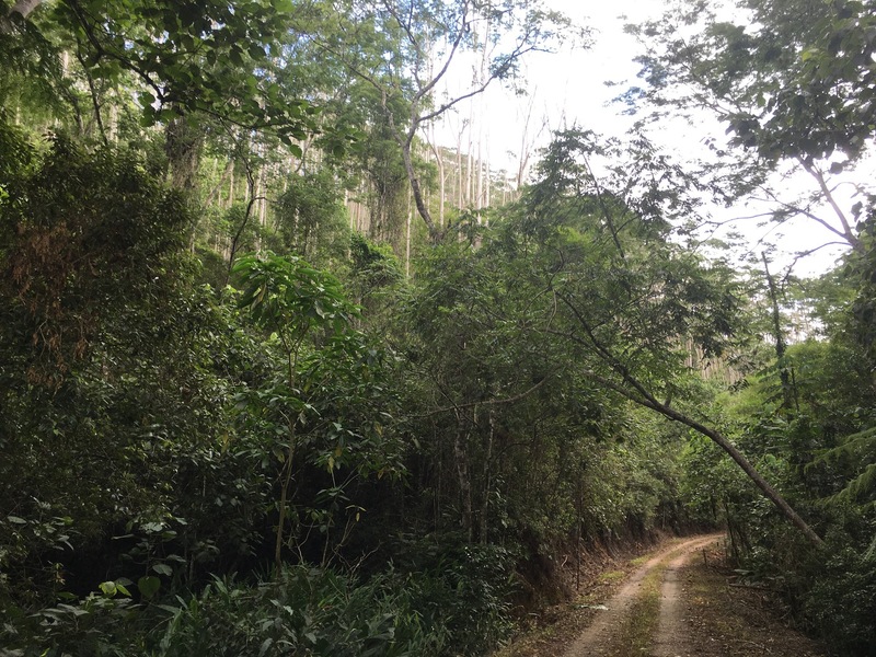 View 300 m from the Confluence at the valley bottom