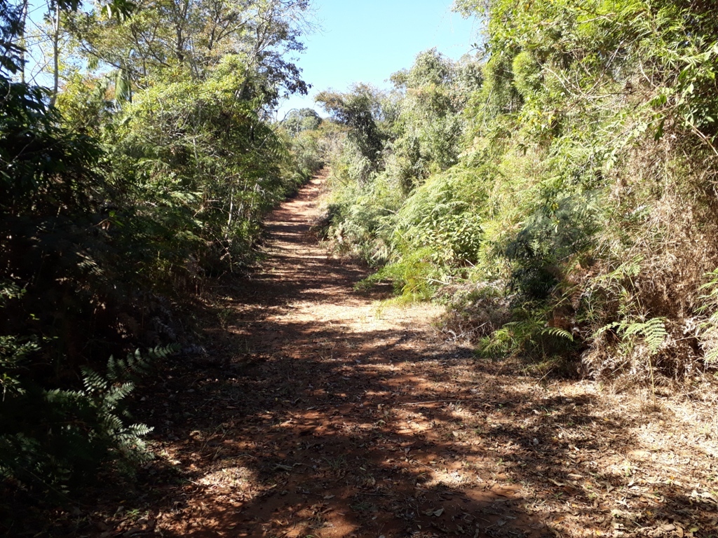 Visão geral - general view