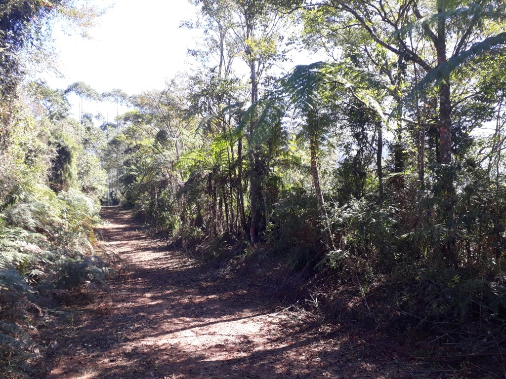 Visão norte - north view