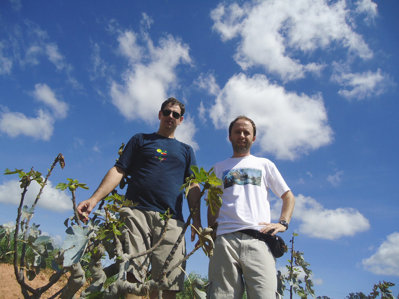 Hunters in the fig crop