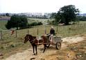 #2: Local  inhabitant in a cart with the confluence and Conchas in the background