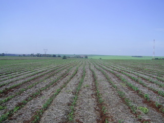 #1: Visão geral - general view