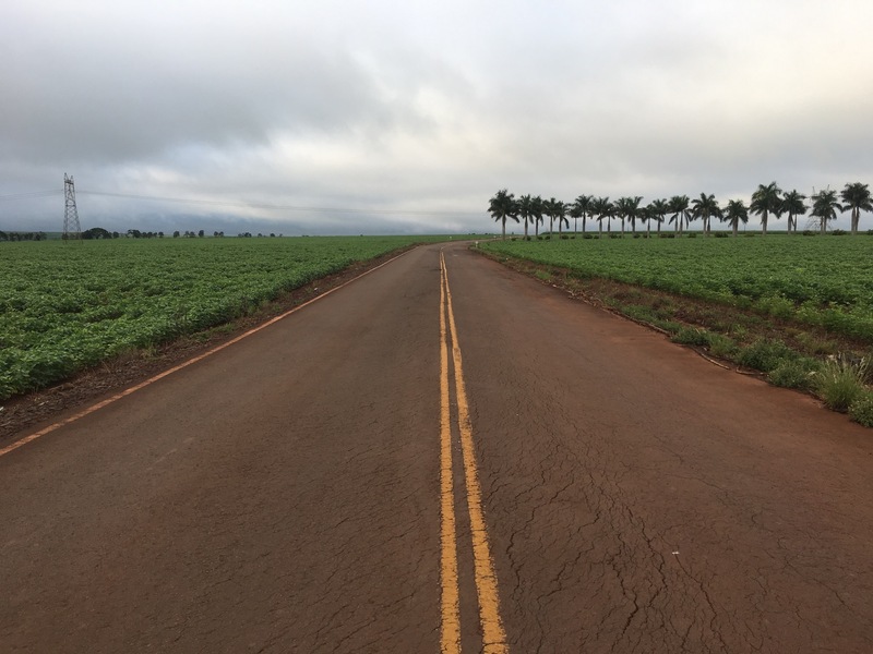 Road at the Confluence