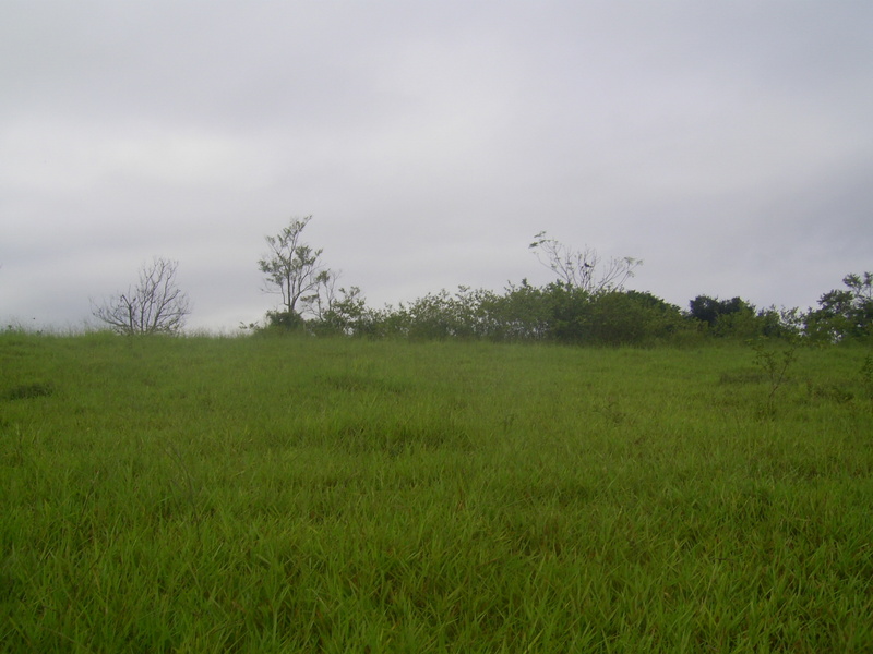 Visão sul - south view