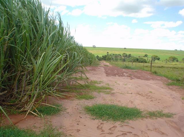 North view from the confluence