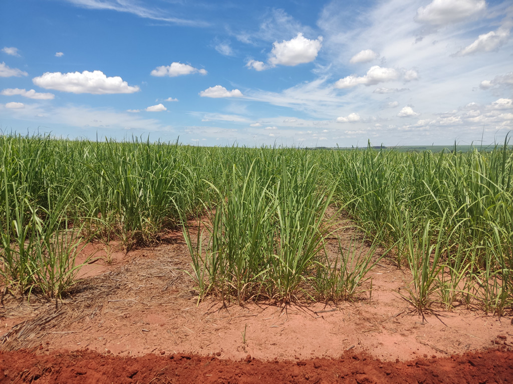 Vis&atilde;o oeste - west view