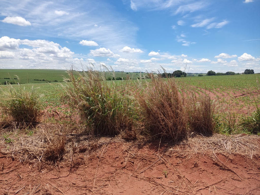 Vis&atilde;o leste - east view