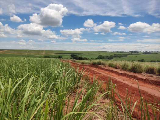 #1: Vis&atilde;o geral - general view