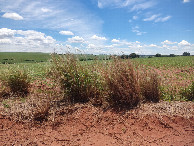 #4: Vis&atilde;o leste - east view