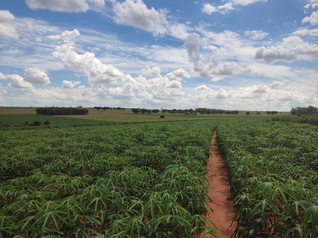 Vis&atilde;o oeste - west view