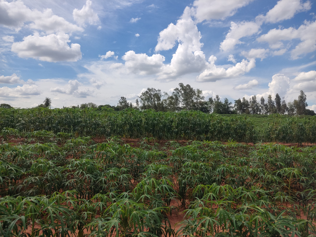 Vis&atilde;o norte - north view