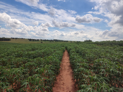 #1: Vis&atilde;o geral - general view