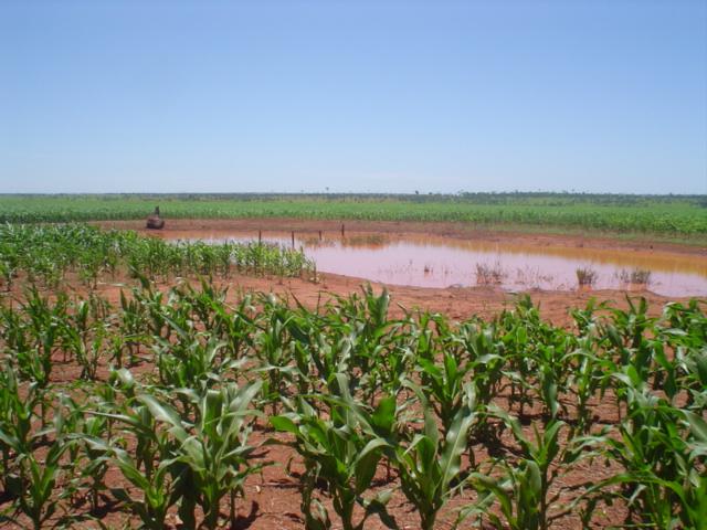 confluence view