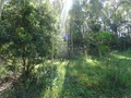 #5: Confluencia. Confluence