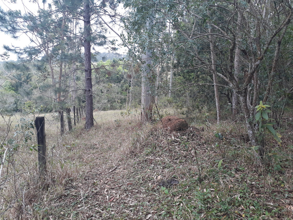 Visão geral - general view