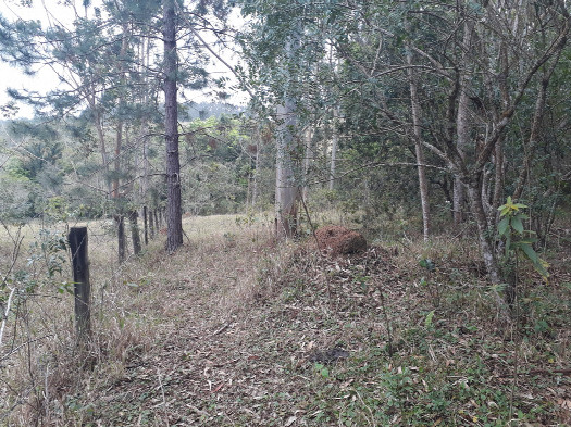 #1: Visão geral - general view