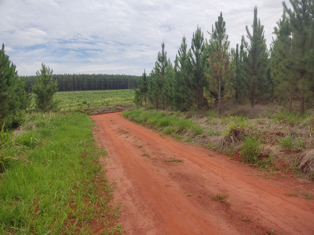 Vis&atilde;o geral - general view