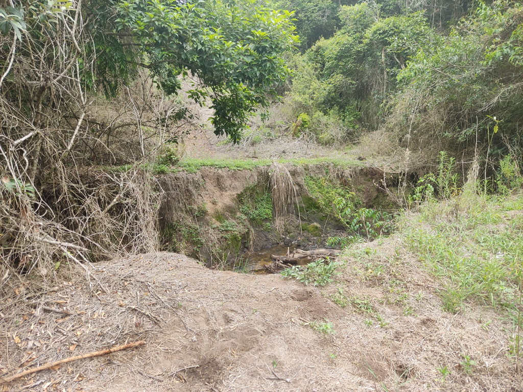 Travessia da vala com um riacho ao fundo - crossing the ditch with a stream