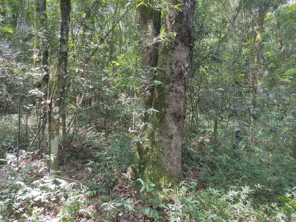 Vis&atilde;o norte - north view