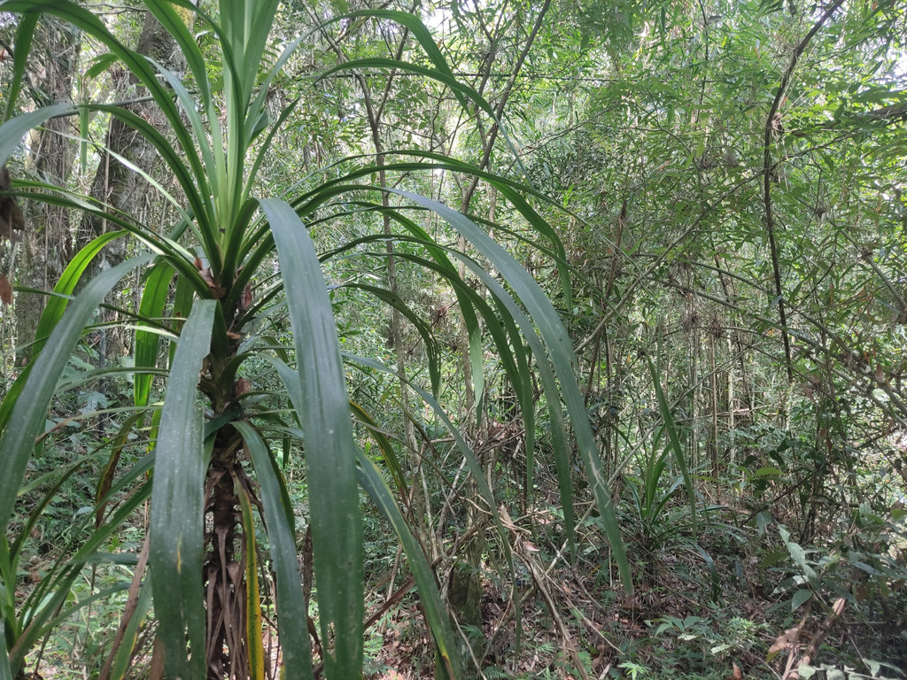 Vis&atilde;o leste - east view