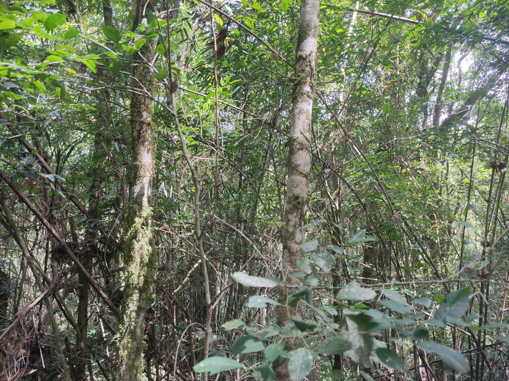 Vis&atilde;o sul - south view