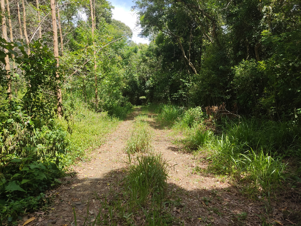 Caminhada at&eacute; a conflu&ecirc;ncia - hiking to the confluence