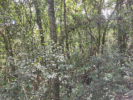 #2: Vis&atilde;o oeste - west view