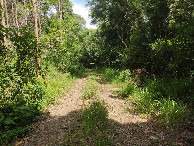 #8: Caminhada at&eacute; a conflu&ecirc;ncia - hiking to the confluence