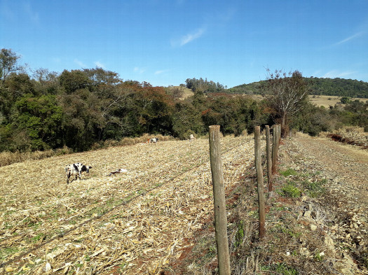 #1: Visão geral - general view