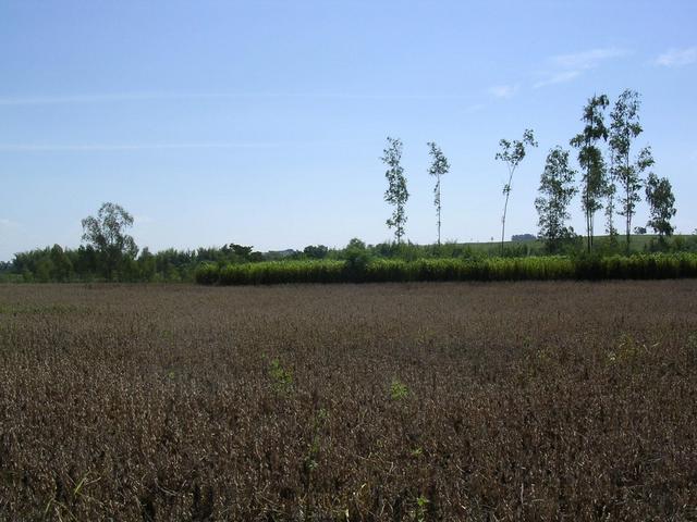 West view