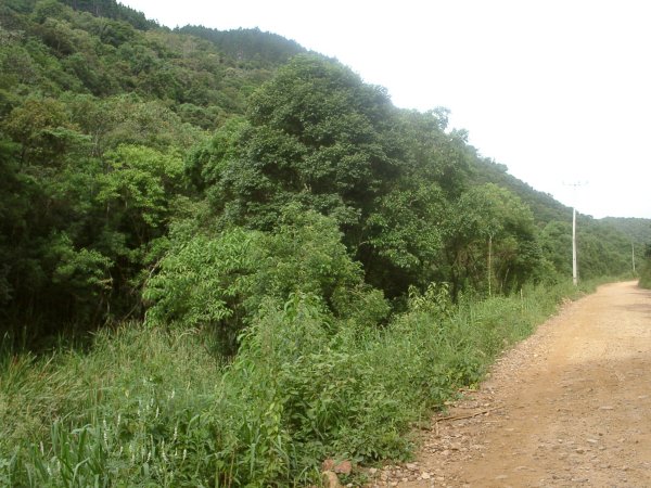 View from the Confluence
