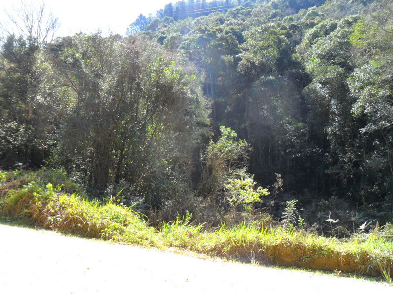 Visão norte - north view