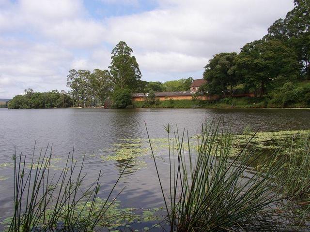 General view from near the spot, looking SE.