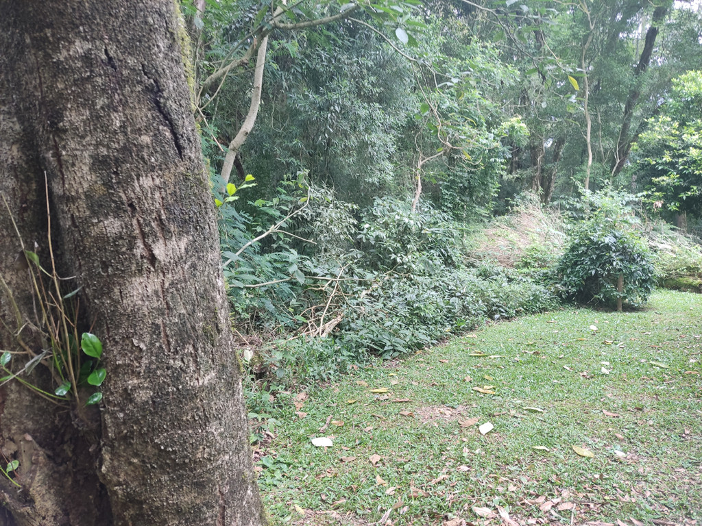 Vis&atilde;o oeste - west view