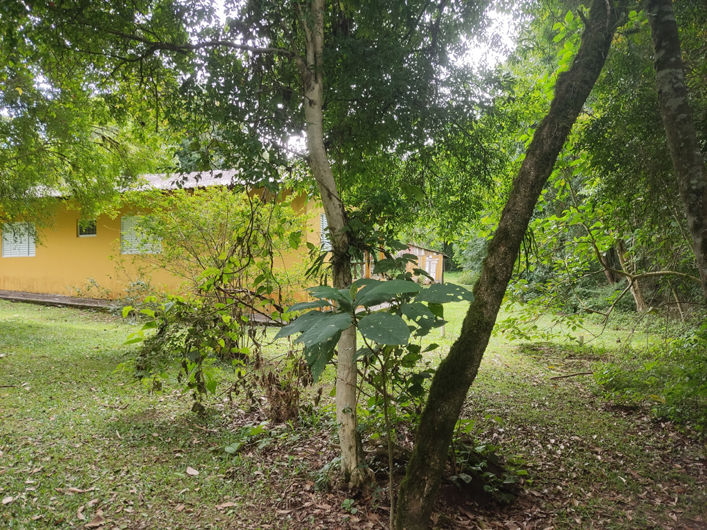 Vis&atilde;o leste - east view