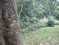 #2: Vis&atilde;o oeste - west view