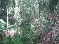 #3: south