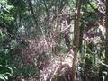 #5: west