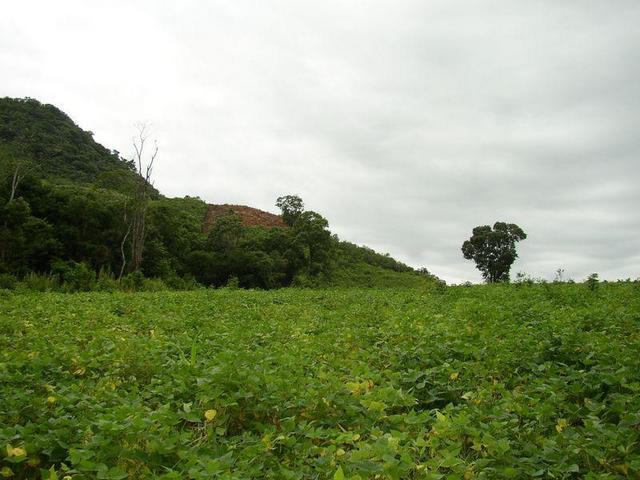 Looking East (50m off CP).