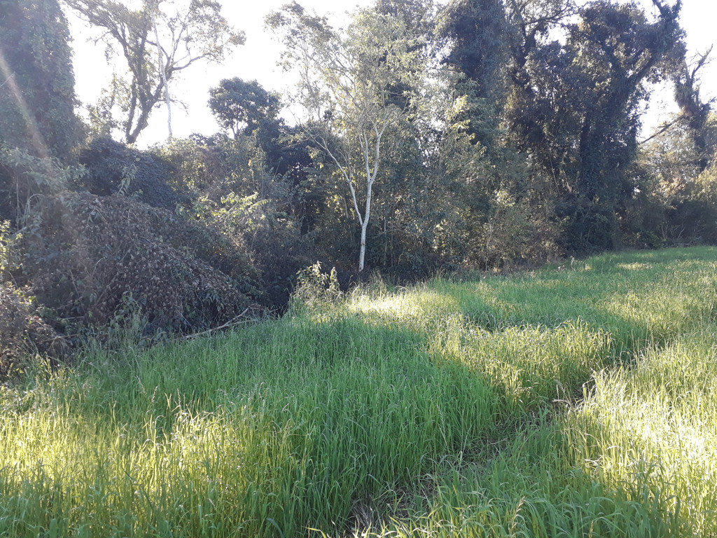 Visão geral - general view