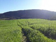 #7: Caminhada até a confluência, pelas trilhas de trator - hiking to the confluence, by the tractor tracks