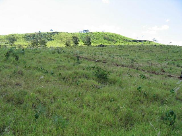 Looking North.