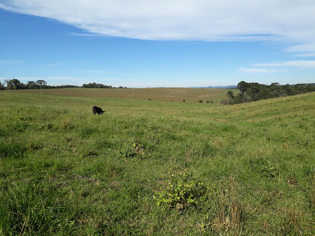 Visão geral - general view