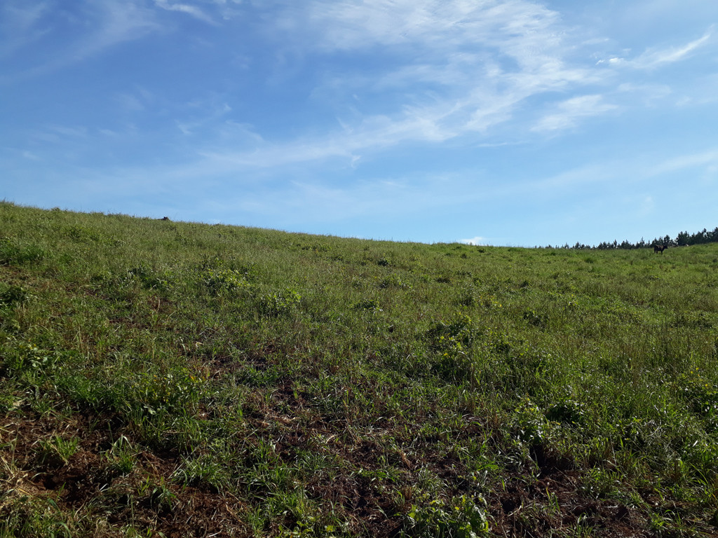 Visão norte - north view