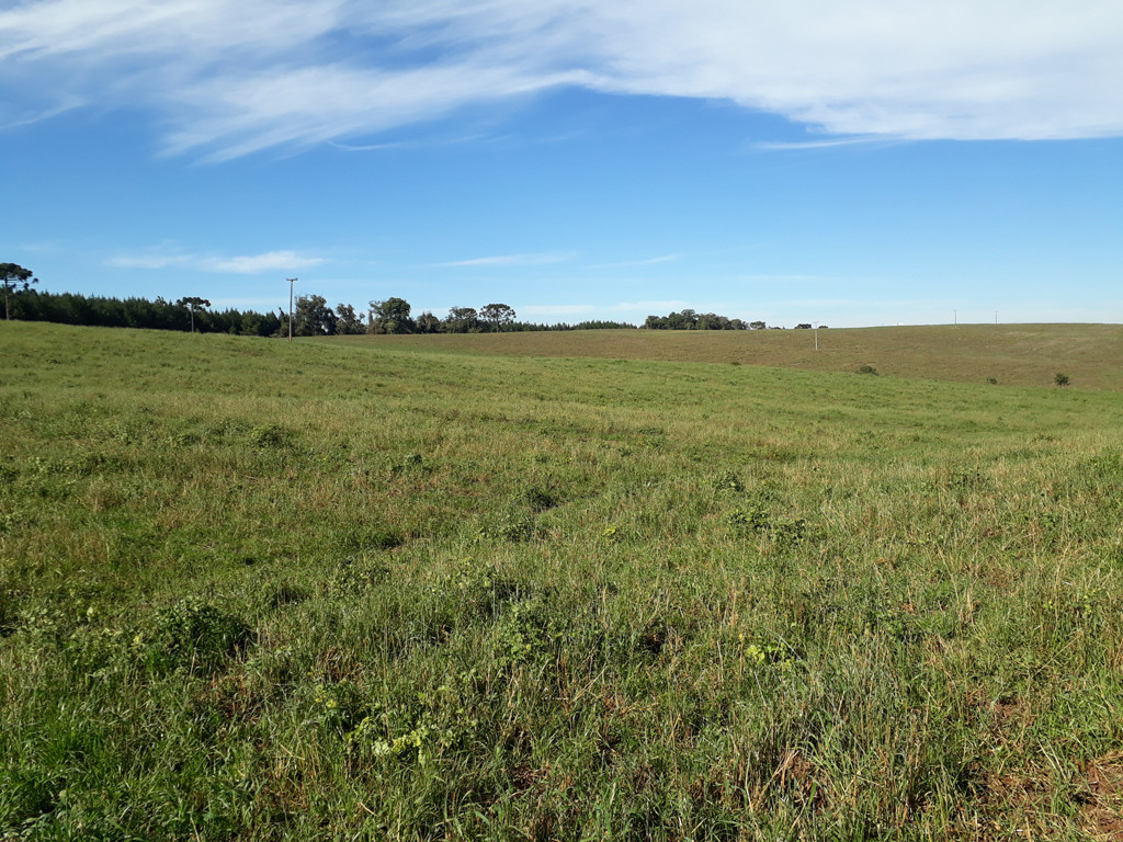 Visão sul - south view